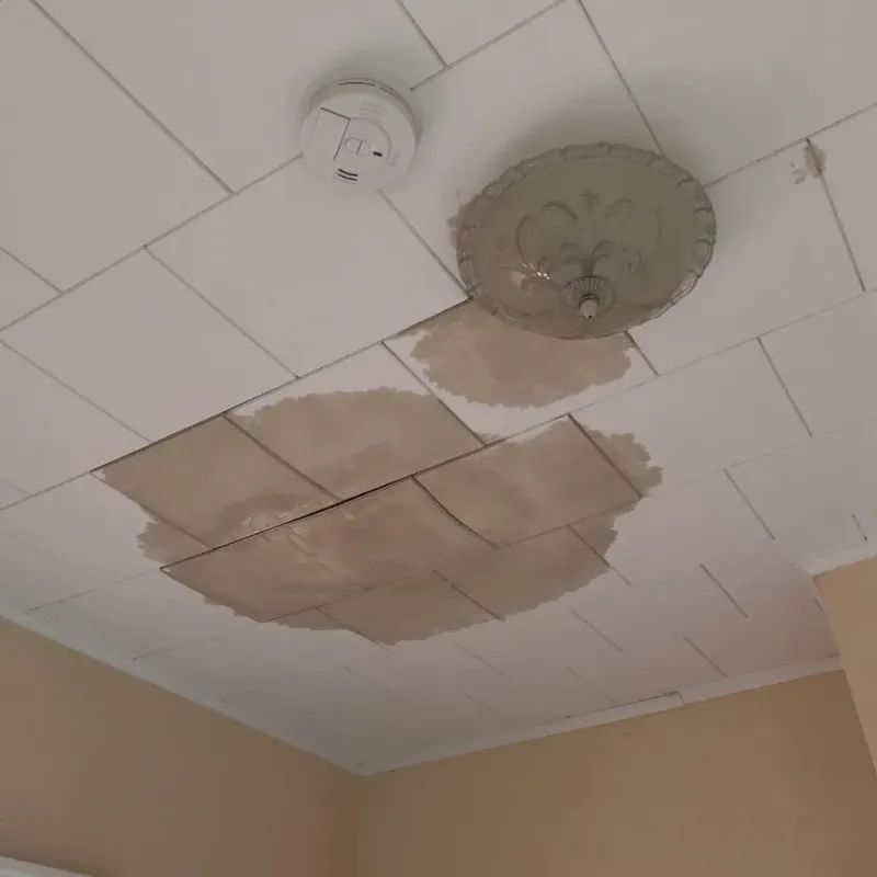 Ceiling Water Damage Repair in Yell County, AR