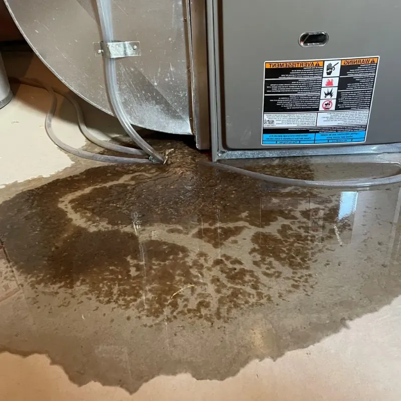 Pipe Burst and Leak Restoration in Yell County, AR